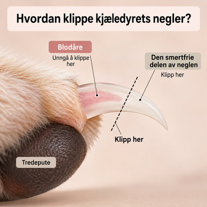 SmartKlipp